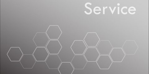 Συντήρηση – Service